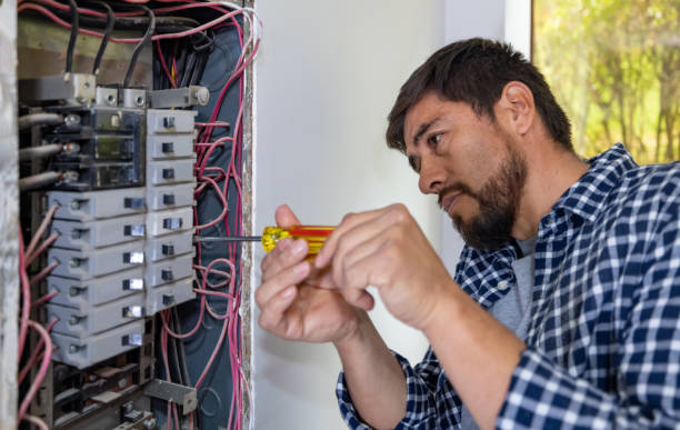 Best Generator Installation Services  in Surrey, ND